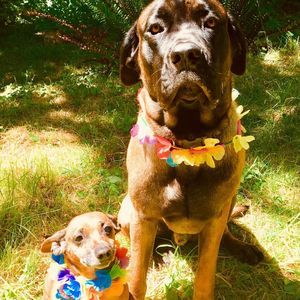 Meet your Posher, Karli